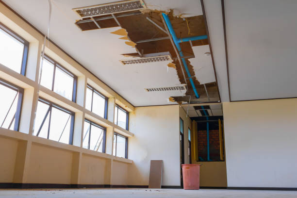 Best Flood restoration services  in Sutton, NE
