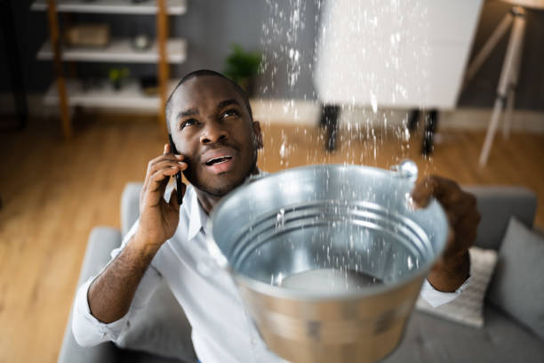Best Water damage restoration process  in Sutton, NE