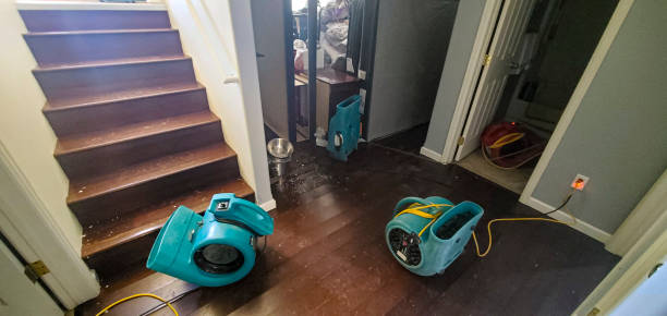 Best Water damage cleanup near me  in Sutton, NE
