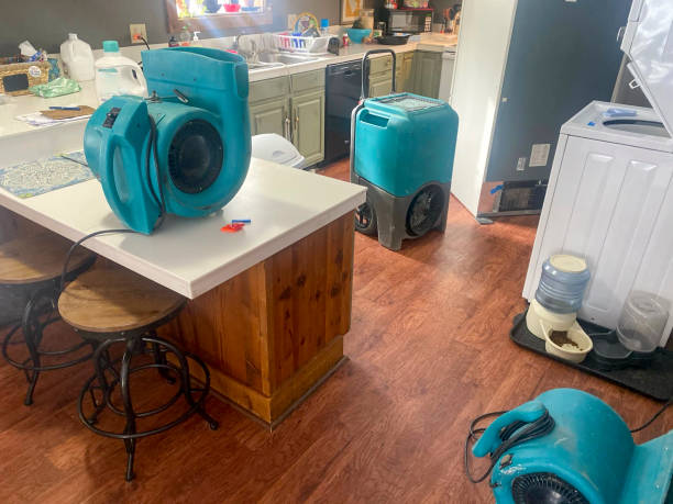 Best Residential water damage restoration  in Sutton, NE