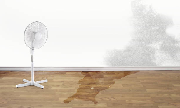 Professional Water damage restoration in Sutton, NE