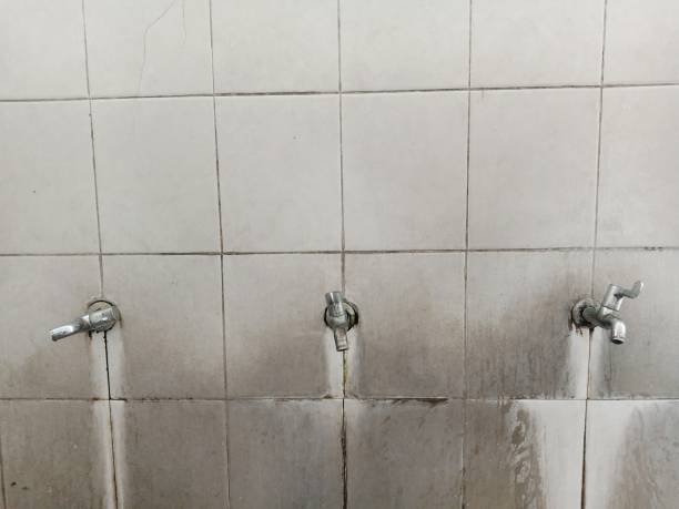 Best Carpet water damage restoration  in Sutton, NE