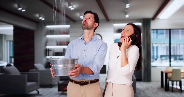 Best Water damage restoration company  in Sutton, NE