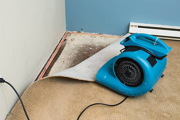 Carpet water damage restoration in Sutton, NE